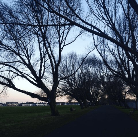 Screen Shot 2016-03-07 at 20.55.33