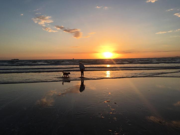 14047322_10154475089729511_7888752058644409811_o